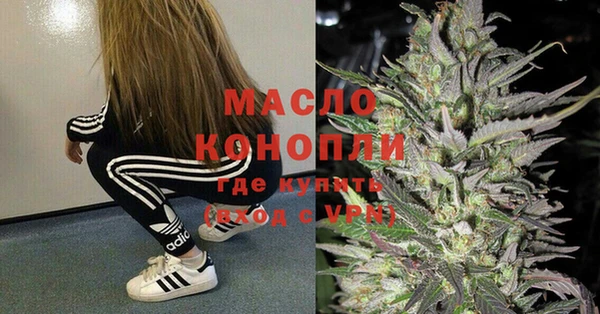 Альфа ПВП Инсар