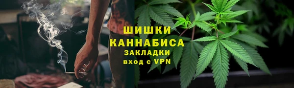 Альфа ПВП Инсар