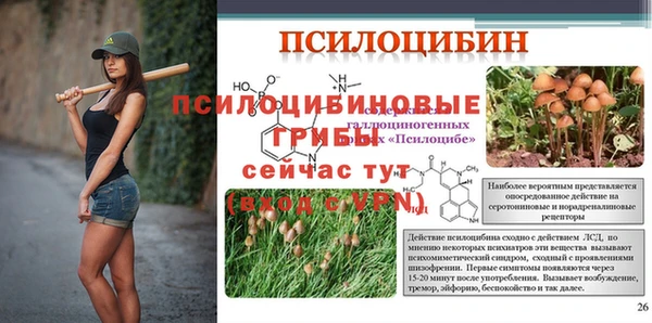 бутират Иннополис