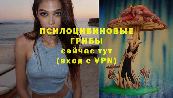 Альфа ПВП Инсар