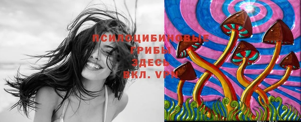 дмт Каменск-Шахтинский