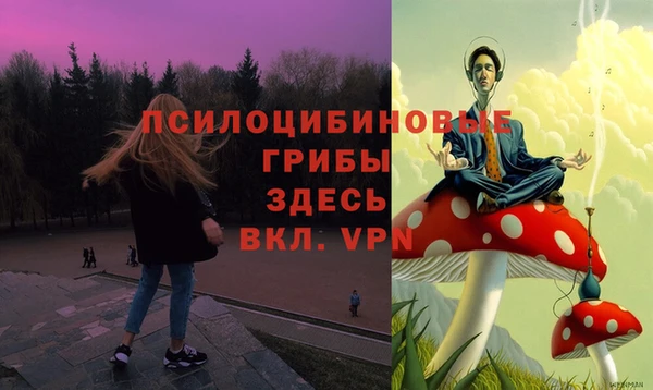 мет Инта
