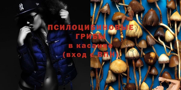 мескалин Каменка