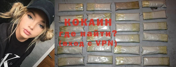 мет Инта