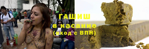Альфа ПВП Инсар