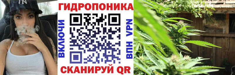 Марихуана планчик Красный Кут